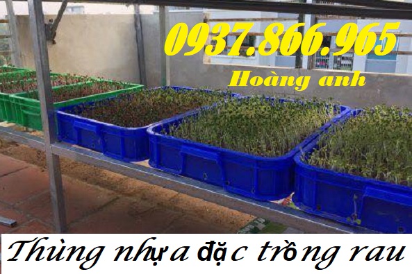 Thùng nhựa đặc trồng rau cao 10cm. thùng nhựa có nắp, khay nhựa, sóng nhựa, sọt nhựa công 