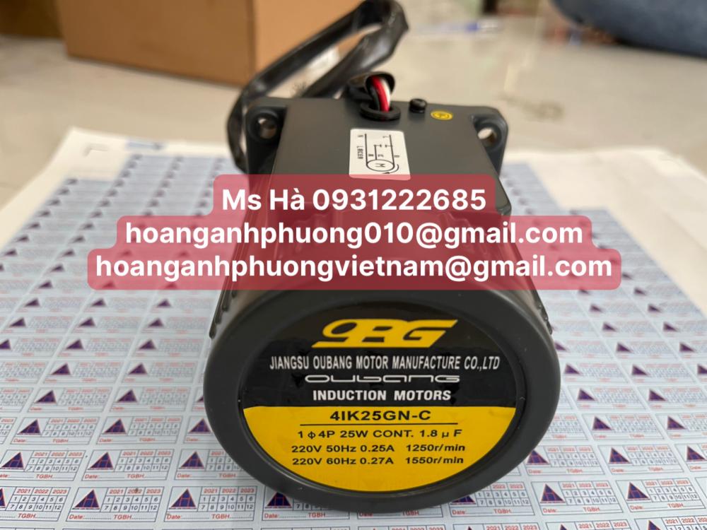 Động cơ bảo hành 12 tháng | 4IK25GN-C | OPG motor