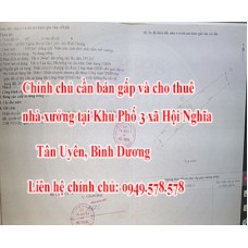 Chính chủ cần bán gấp và cho thuê nhà xưởng tại Khu Phố 3 xã Hội Nghĩa, Tân Uyên, Bình