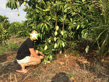 CHÍNH CHỦ CẦN BÁN NHÀ VƯỜN TẠI TX.BÌNH LONG, BÌNH PHƯỚC