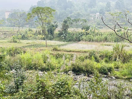 CHÂN DÀI CHỈ CHỜ ĐẠI GIA