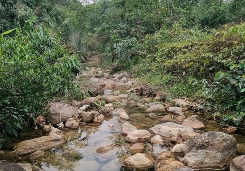 CHÍNH CHỦ bán mảnh đất trang trại tại Hoành Bồ, Quảng Ninh.