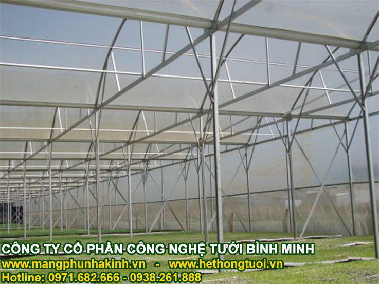 Lưới chống côn trùng UV nhà kính,lưới chắn côn trùng Israel