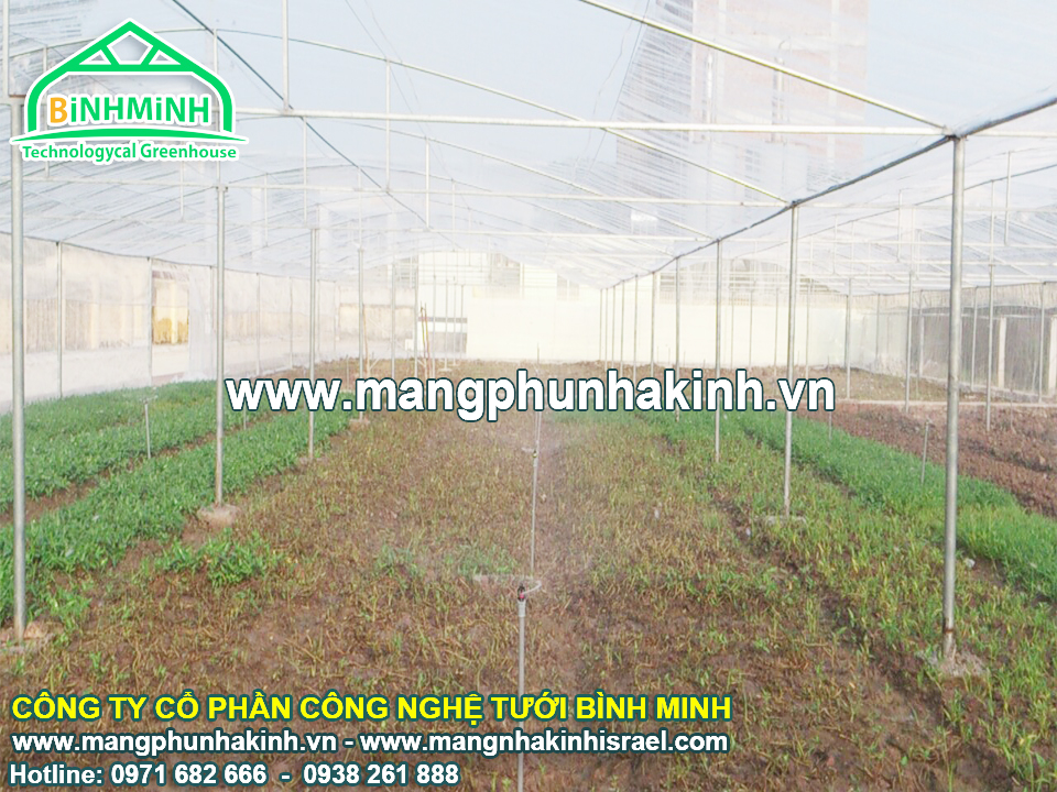 Bình Minh cung cấp lưới chắn côn trùng loại tốt