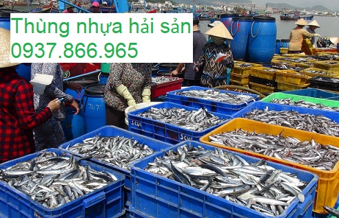 Bán thùng nhựa đựng hải sản cho ngư dân, thùng nhựa đặc, khay nhựa HS003,thung nhua