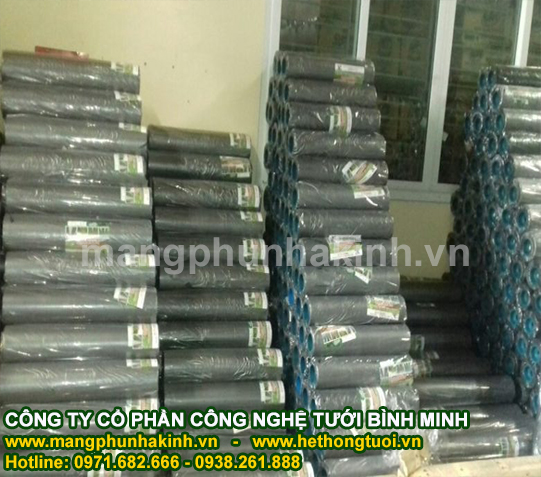 Màng ldpe che phủ nông nghiệp, màng PE phủ nông nghiệp, màng phủ luống