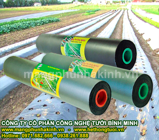 Công ty sản xuất màng phủ nông nghiệp,nơi cung cấp màng phủ nông nghiệp