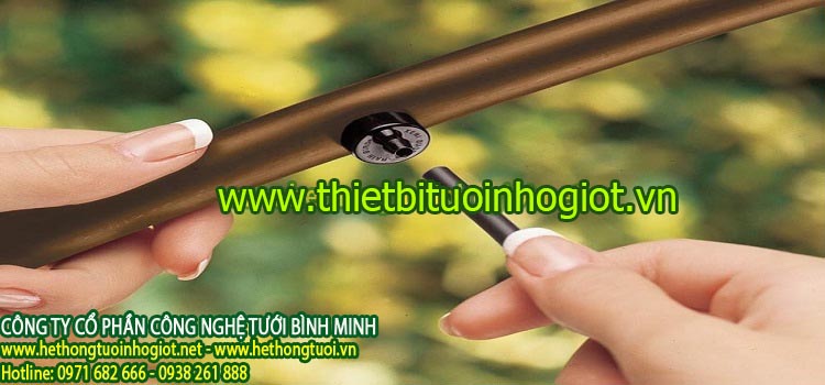 Hệ thống tưới nhỏ giọt nhập khẩu,đầu tưới nhỏ giọt,béc tưới nhỏ giọt