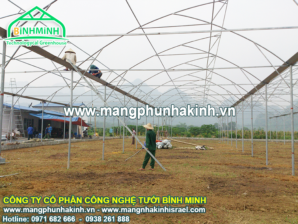 Hấp dẫn nuôi tôm trong nhà kính, nuôi tôm trong nhà kính mang lại giá trị cao