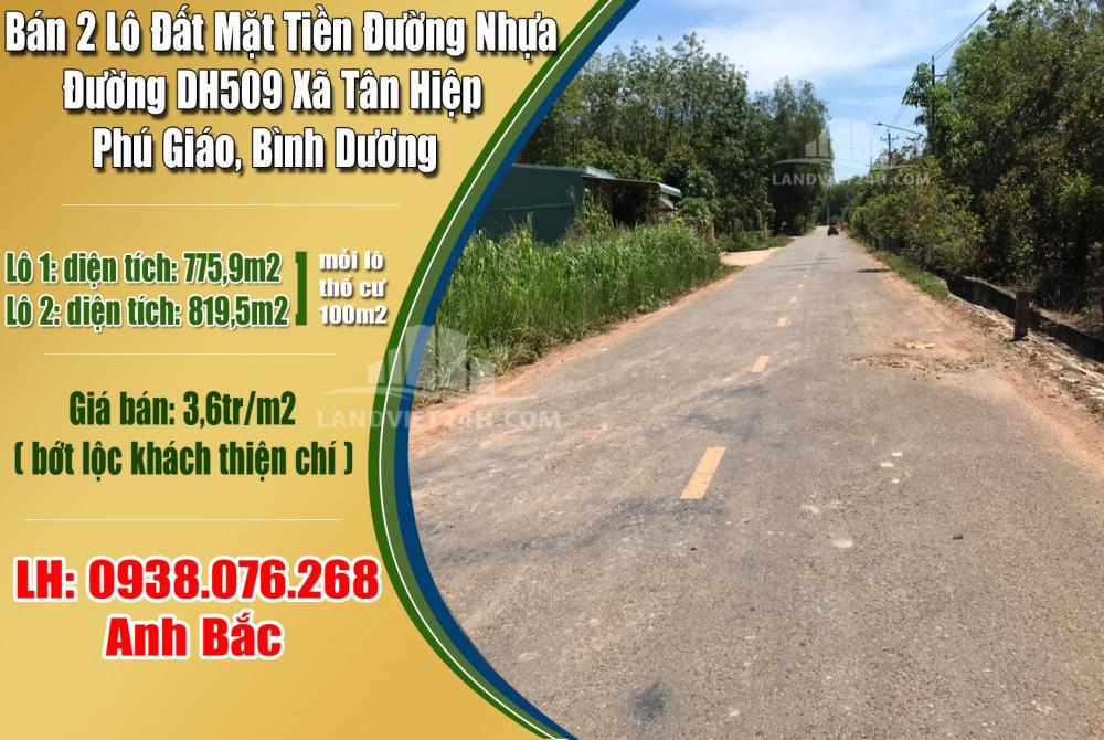 Bán 2 Lô Đất Mặt Tiền Đường Nhựa Đường DH509, Xã Tân Hiệp, Phú Giáo