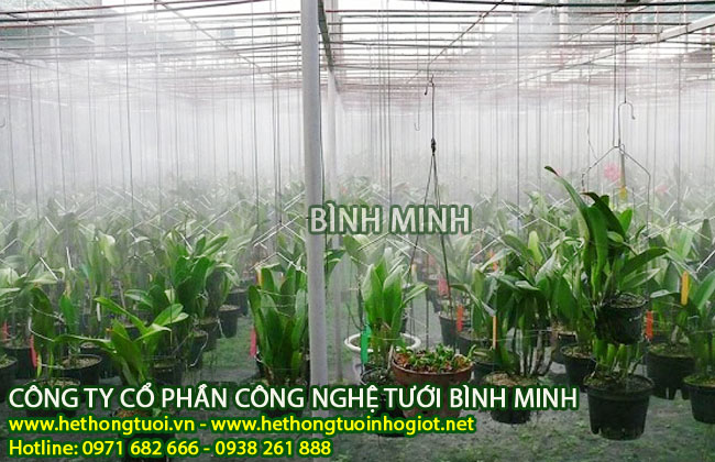 tưới phun sương,hướng dẫn lắp đặt hệ thống tưới phun sương thông minh