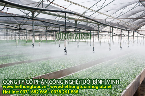 Hệ thống phun sương làm mát, béc phun sương, hệ thống phun sương trong nhà kính