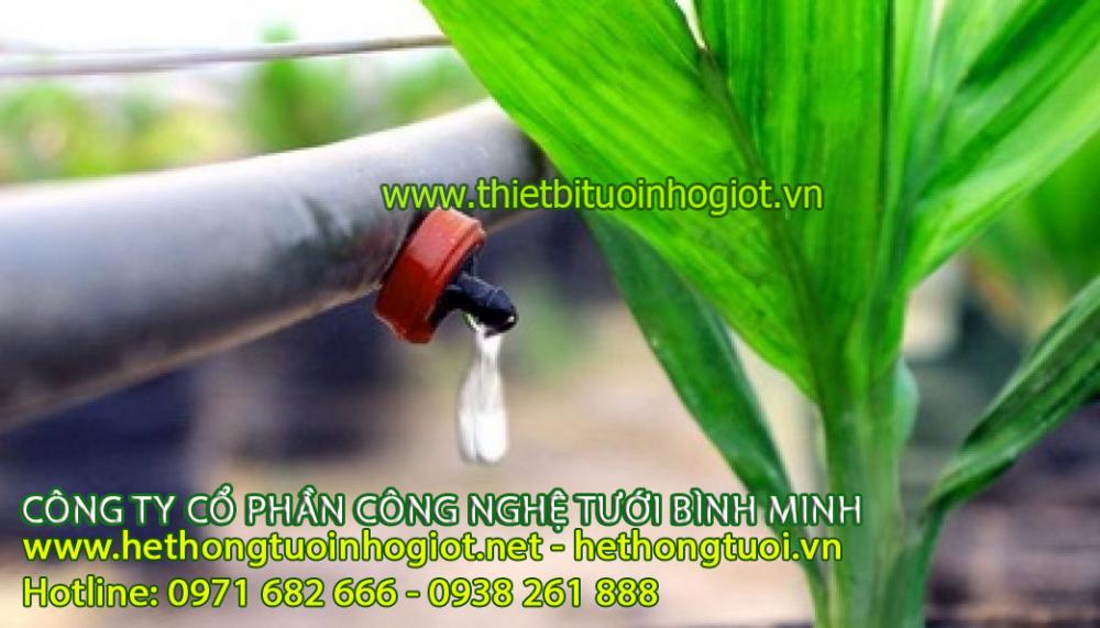 Đầu tưới nhỏ giọt, vòi tưới nhỏ giọt, thiết bị tưới nhỏ Mô tả Béc tưới nhỏ giọt