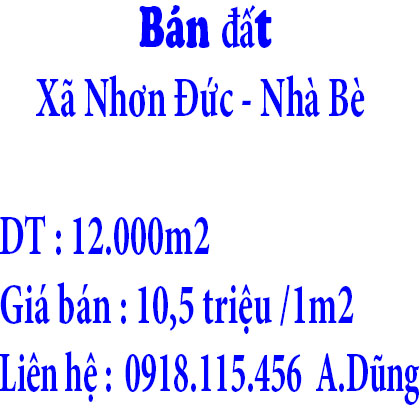 Bán đất tại Xã Nhơn Đức, Nhà Bè, TPHCM