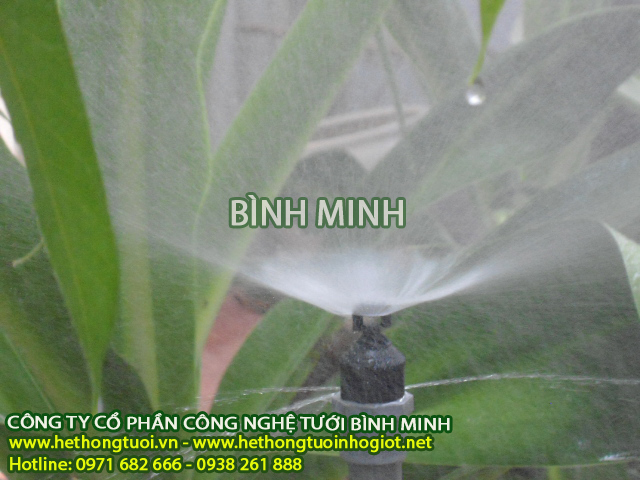 Béc phun sương bơm Nước Mini, béc tưới phun sương, hệ thống tưới phun sương, hẹn giờ tưới 