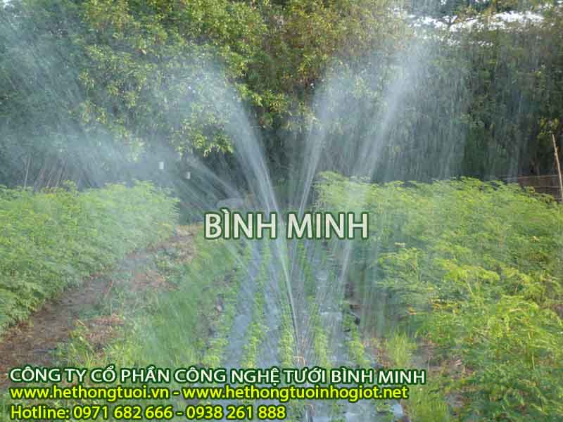 Giới thiệu về ưu, nhược điểm hệ thống tưới phun mưa cho rau