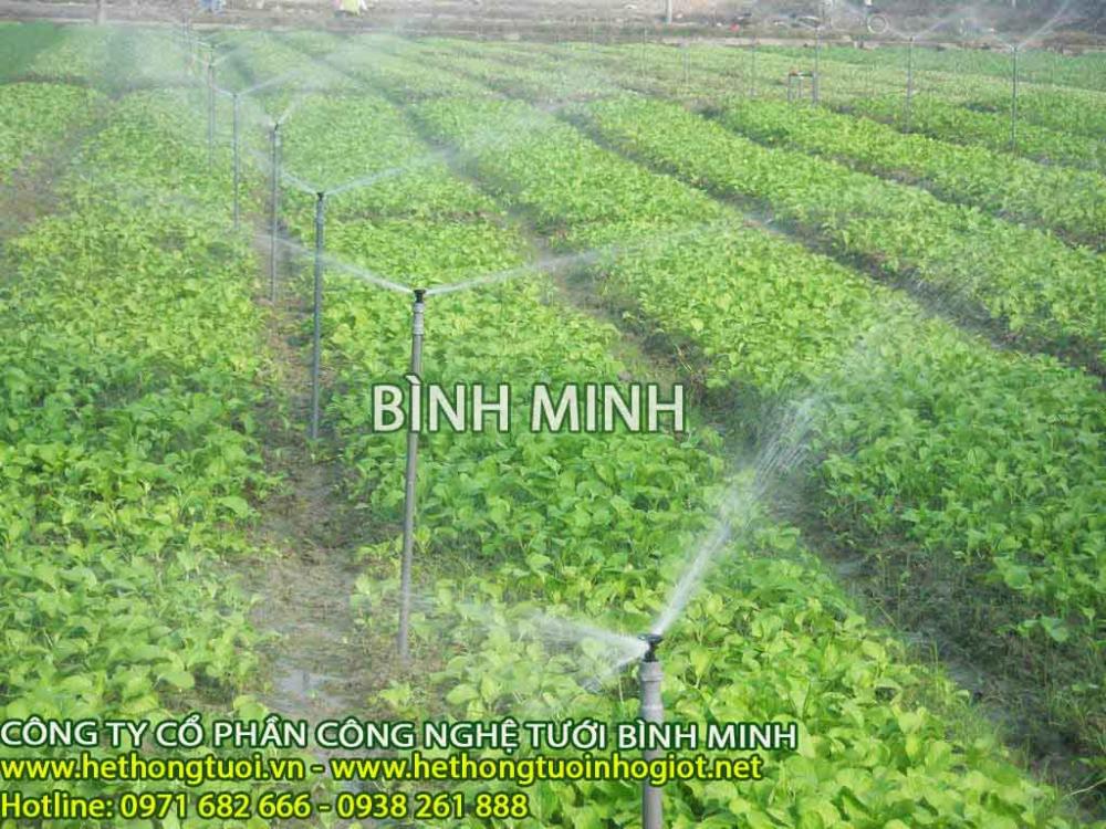 Thiết bị tưới nông nghiệp, dây tưới phun mưa,ống tưới phun mưa,bán ống tưới phun mưa