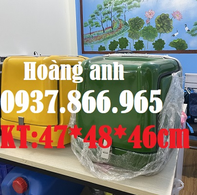 Thùng chở hàng sau xe máy giao Pizza, thùng giao văn phòng phẩm