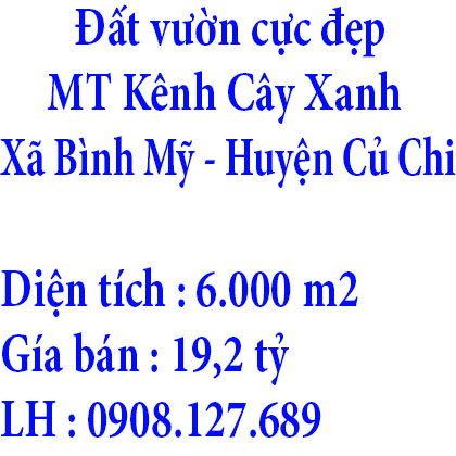 Đất vườn cực đẹp 6.000m2 mặt tiền kênh Cây Xanh, Bình Mỹ