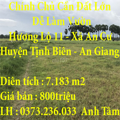 Chính Chủ Cần Đất Lớn Dễ Làm Vườn