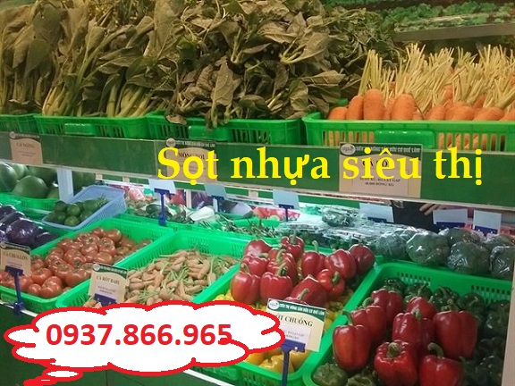 Khay nhựa đựng thực phẩm trong siêu thị, sọt nhựa siêu thị