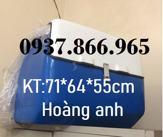 Sản xuất thùng chở hàng số lượng lớn tại miền bắc