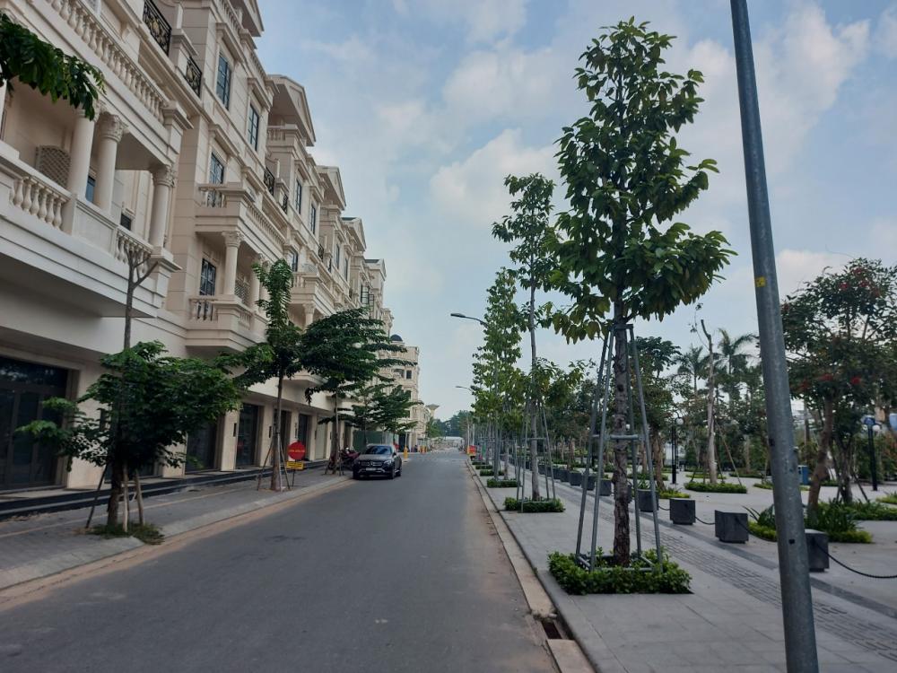 Cần Cho Thuê Nhà Ngay Công Viên Khu Cityland Parkhiil , Phường 10, Quận Gò Vấp, Tp Hồ Chí