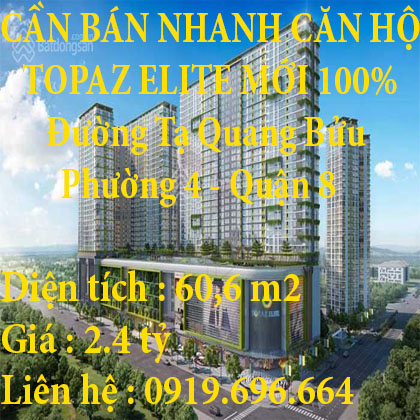 CẦN BÁN NHANH CĂN HỘ TOPAZ ELITE MỚI 100%, Q.8