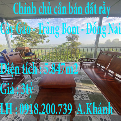 Chính chủ cần bán đất rẫy Cây Gáo Huyện Trảng Bom Tỉnh Đồng Nai