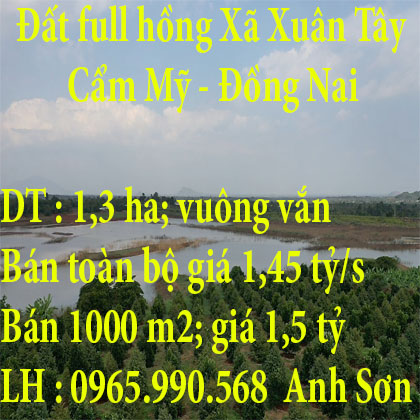 Đất full hồng Xã Xuân Tây - Cẩm Mỹ - Đồng Nai