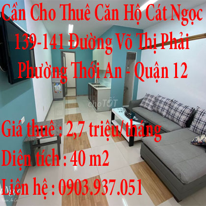 Cần Cho Thuê Căn Hộ Cát Ngọc 139-141 Đường Võ Thị Phải  Phường Thới An  Quận 12 Thành Phố