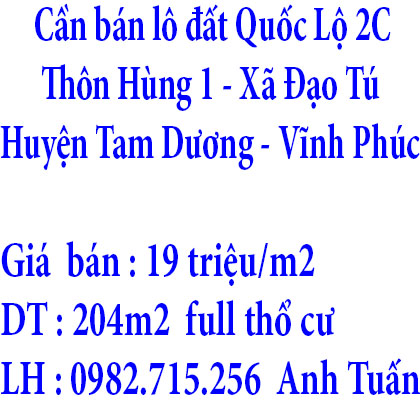 Cần bán lô 1 lô đất Quốc Lộ 2C ở Thôn Hùng 1 , Xã Đạo Tú , Huyện Tam Dương , Tỉnh Vĩnh