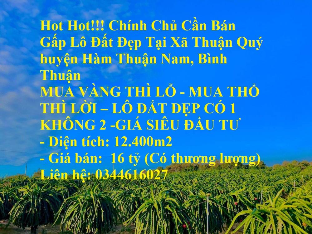 Hot Hot!!! Chính Chủ Cần Bán Gấp Lô Đất Đẹp Tại Xã Thuận Quý huyện Hàm Thuận Nam, Bình