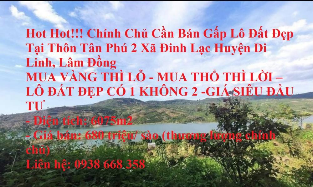 Hot Hot!!! Chính Chủ Cần Bán Gấp Lô Đất Đẹp Tại Thôn Tân Phú 2 Xã Đinh Lạc Huyện Di Linh,