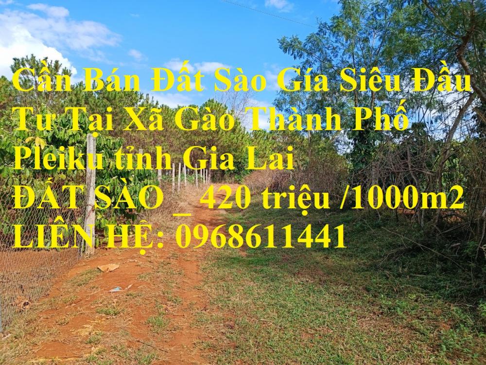 Cần Bán Đất Sào Gía Siêu Đầu Tư Tại Xã Gào Thành Phố Pleiku tỉnh Gia Lai