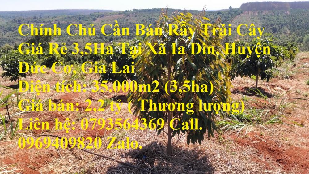 Chính Chủ Cần Bán Rẫy Trái Cây Giá Rẻ 3,5Ha Tại Xã Ia Din, Huyện Đức Cơ, Gia Lai