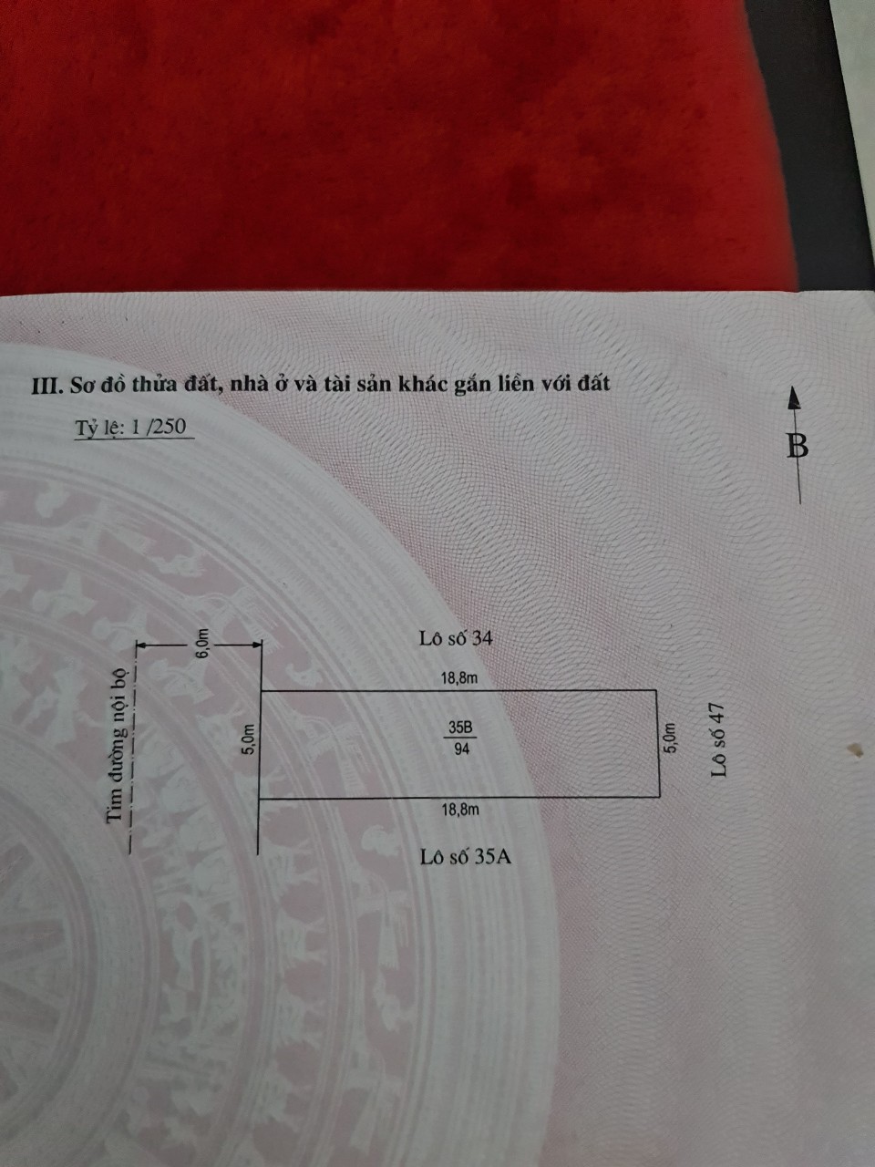 Chính chủ cần bán đất tại An Hưng, An Dương Hải Phòng