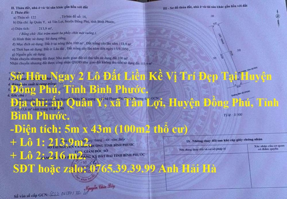 Sở Hữu Ngay 2 Lô Đất Liền Kề Vị Trí Đẹp Tại Huyện Đồng Phú, Tỉnh Bình Phước.