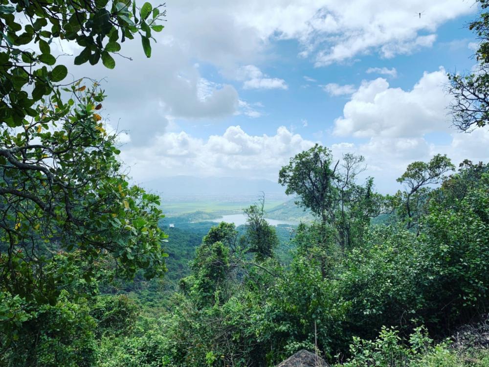 [ Vườn Diên Điền Am Chúa ( 2ha ) ] cách tttp Nha Trang 15km