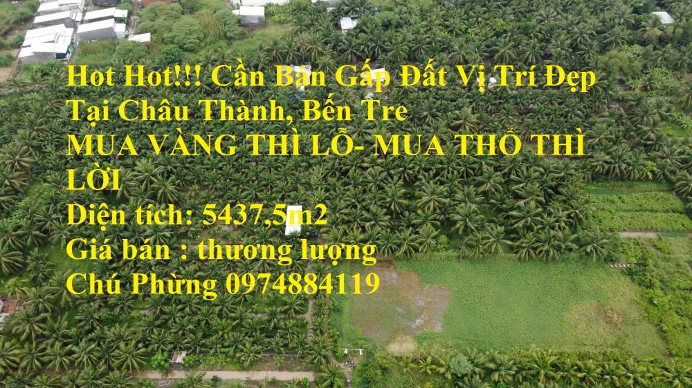 Hot Hot!!! Cần Bán Gấp Đất Vị Trí Đẹp Tại Châu Thành, Bến Tre