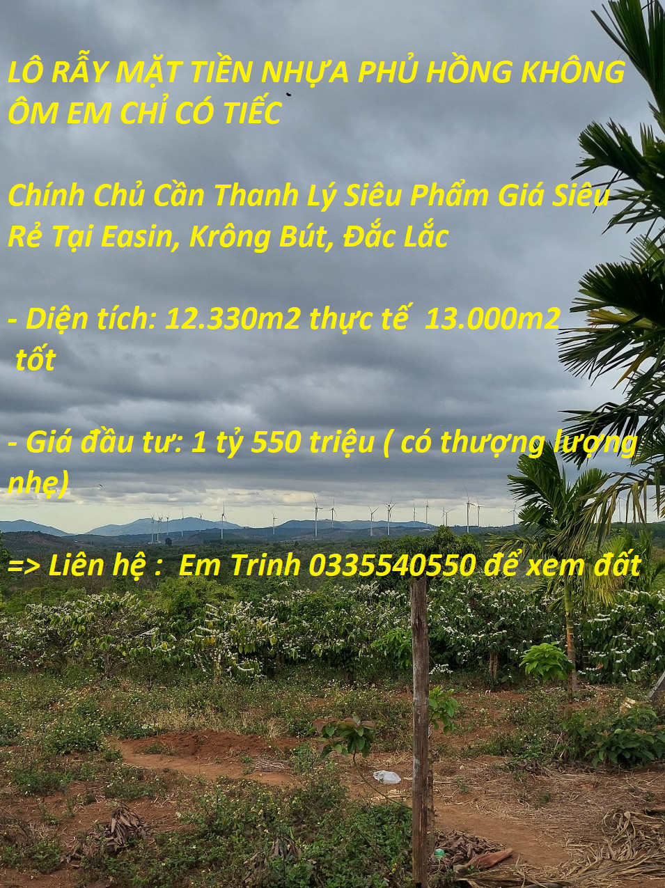 Chính Chủ Cần Thanh Lý Siêu Phẩm Giá Siêu Rẻ Tại Easin, Krông Bút, Đắc Lắk