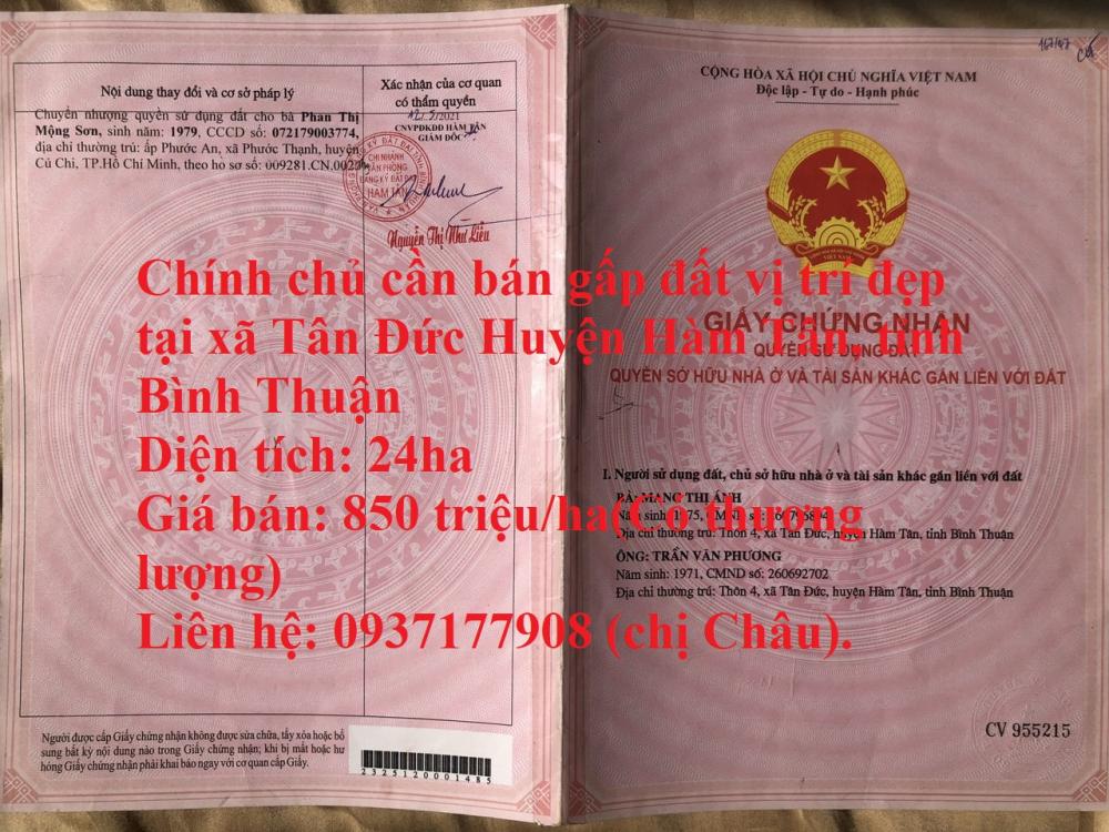 Chính chủ cần bán gấp đất vị trí đẹp tại xã Tân Đức Huyện Hàm Tân, tỉnh Bình Thuận