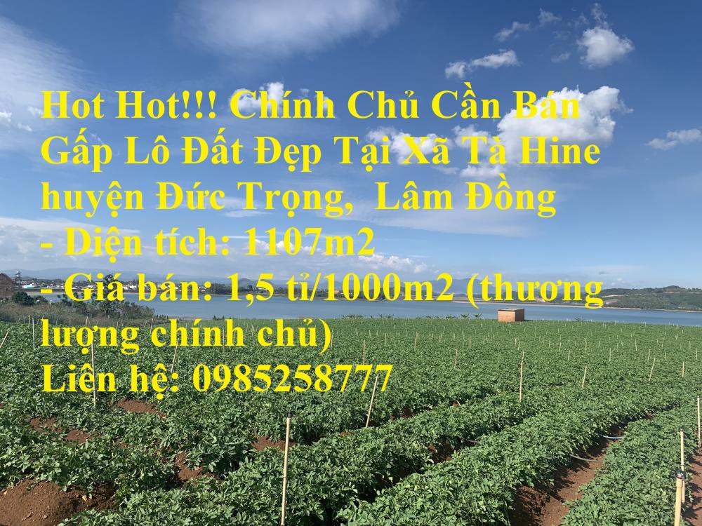 Hot Hot!!! Chính Chủ Cần Bán Gấp Lô Đất Đẹp Tại Xã Tà Hine huyện Đức Trọng,  Lâm Đồng